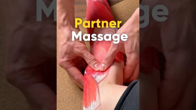 Massage anatomy tutorial for pain relief #shorts Massage anatomy tutorial for pain relief #shorts