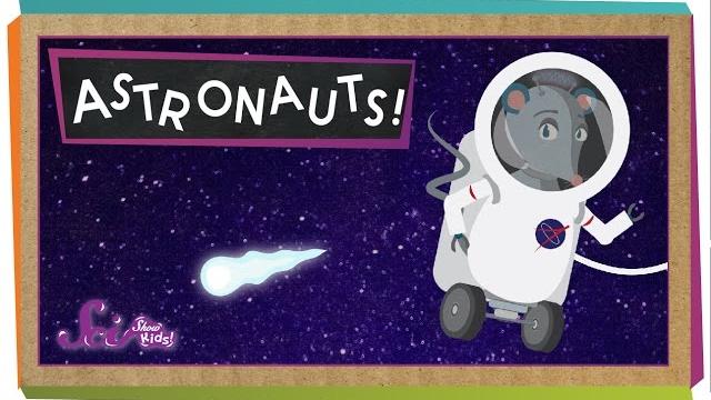 What do astronauts do? What do astronauts do?