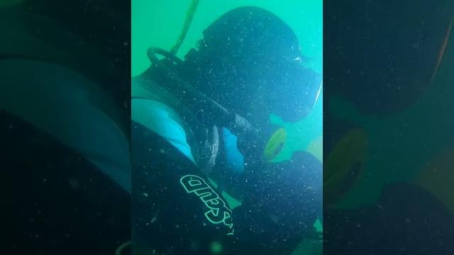 One slip could kill this #underwater #welder, making it the most dangerous job in the world. One slip could kill this #underwater #welder, making it the most dangerous job in the world.