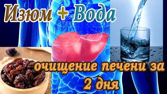 Очищение печениизюм и вода, очищение печени за 2 дняпеченькак пить правильно отвар из изюма Очищение печениизюм и вода, очищение печени за 2 дняпеченькак пить правильно отвар из изюма