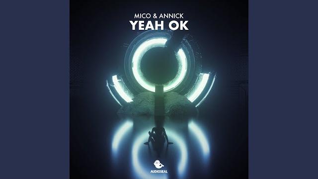 Yeah ok (extended mix) Yeah ok (extended mix)