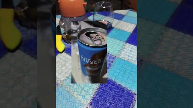 Susu besar vs susu kecil Susu besar vs susu kecil