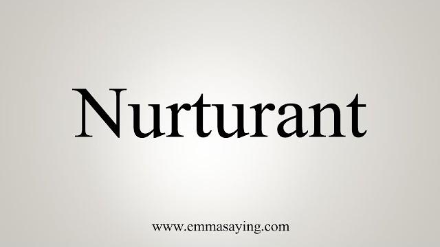 How to say nurturant How to say nurturant