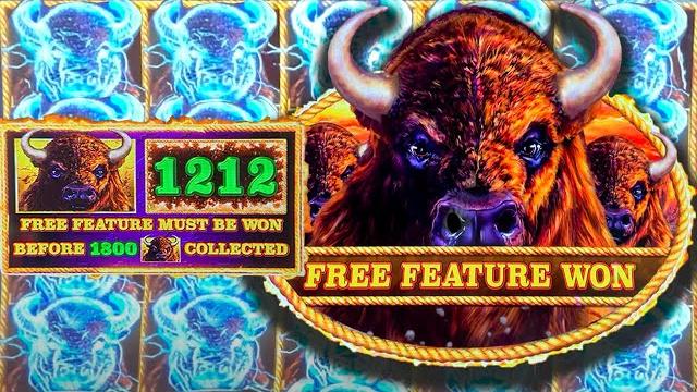Free feature came fast! easy money on buffalo Free feature came fast! easy money on buffalo