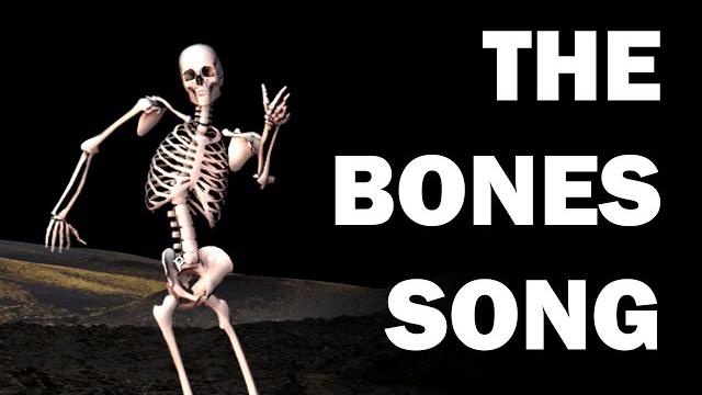 Skeleton bones song - learn in 3 minutes!!! Skeleton bones song - learn in 3 minutes!!!