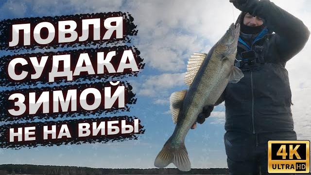 Ловля судака зимой не со льда не на вибы, а с катера на джиг. десногорское водохранилище Ловля судака зимой не со льда не на вибы, а с катера на джиг. десногорское водохранилище