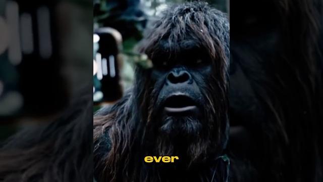 Bigfoot caught on doorbell cam—oops! Bigfoot caught on doorbell cam—oops!