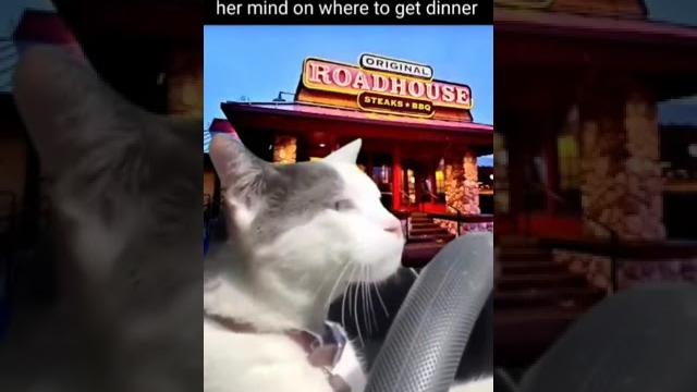 Going to the roadhouse Going to the roadhouse