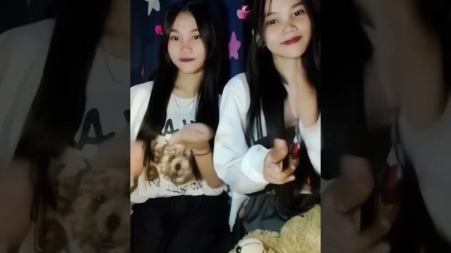 Sedarah Sedarah