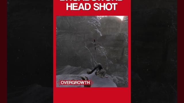 Throwback to this classic overgrowth headshot! (#videogame #indies #indiegames #indiegamedev) Throwback to this classic overgrowth headshot! (#videogame #indies #indiegames #indiegamedev)