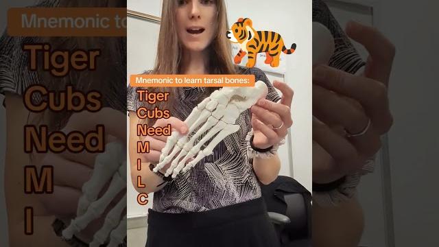 Learn the tarsals of the foot #anatomy #anatomyandphysiology #science #stem #teacher #education Learn the tarsals of the foot #anatomy #anatomyandphysiology #science #stem #teacher #education