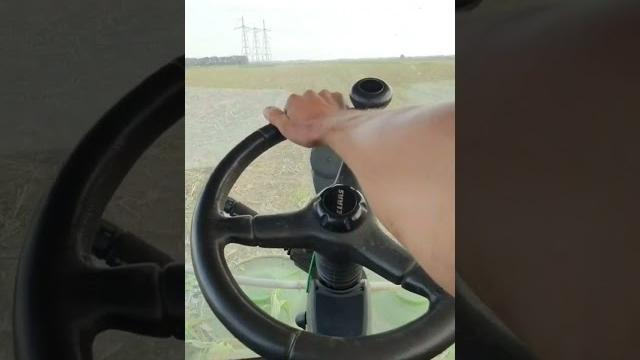 Ваз? нее, claas ягуар #видео #shorts #крд #агротехника #техника #claas #ягуар #смотреть #агро Ваз? нее, claas ягуар #видео #shorts #крд #агротехника #техника #claas #ягуар #смотреть #агро
