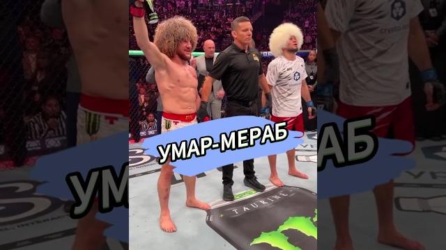Мераб двалишвили-умар нурмагомедов Мераб двалишвили-умар нурмагомедов