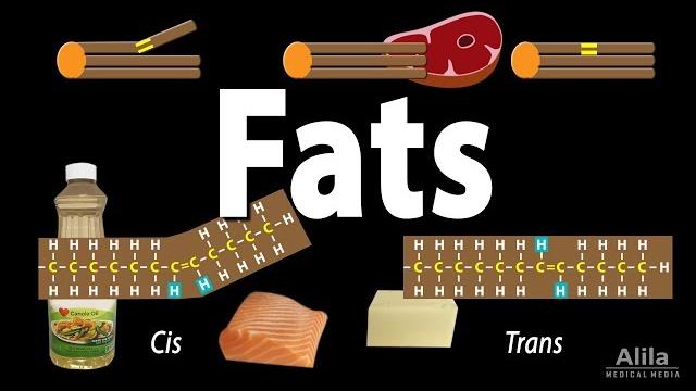 Unsaturated vs saturated vs trans fats, animation Unsaturated vs saturated vs trans fats, animation