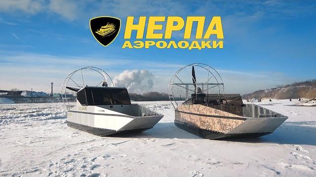 Аэролодки нерпа Аэролодки нерпа