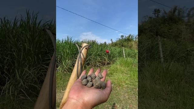 Diy slingshotbest for hunting #craft #diy #handmade #amazing Diy slingshotbest for hunting #craft #diy #handmade #amazing