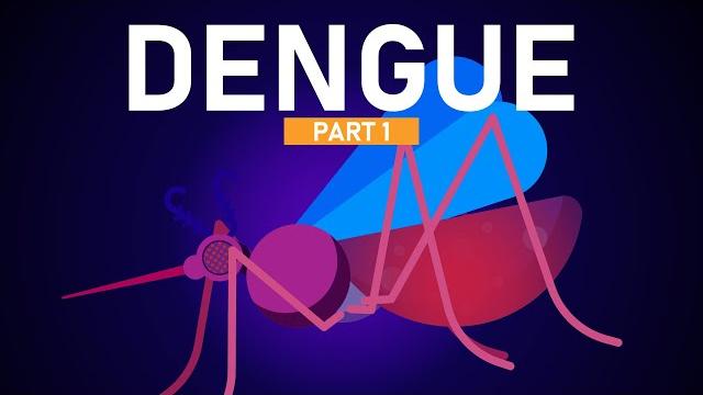 Dengue explained in 5 minutes Dengue explained in 5 minutes