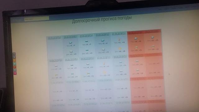 Видео про ящериц не будет еще неделю Видео про ящериц не будет еще неделю