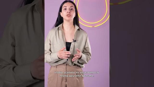 Зачем собакам купировали хвосты? #shorts #собаки Зачем собакам купировали хвосты? #shorts #собаки