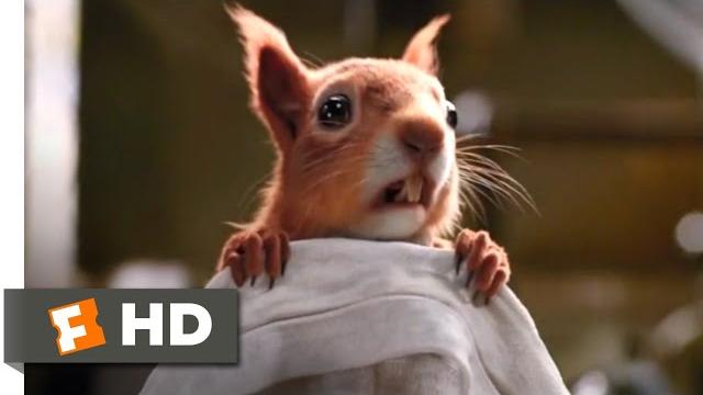 Dolittle (2020) - squirrel surgery scene (2/10) | movieclips Dolittle (2020) - squirrel surgery scene (2/10) | movieclips