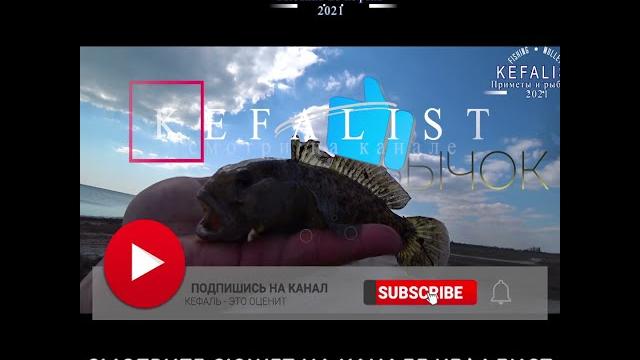 #shorts fishing, рыбалка, риболовля, pesca, balıqçılıq, 釣り, balık tutma, балық аулау, თევზჭერის #shorts fishing, рыбалка, риболовля, pesca, balıqçılıq, 釣り, balık tutma, балық аулау, თევზჭერის