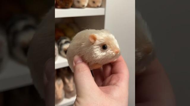 Part 2 ️ #smallbusiness #doll #animals #silicone #minipig #piglet #pig #babypig #micropig Part 2 ️ #smallbusiness #doll #animals #silicone #minipig #piglet #pig #babypig #micropig