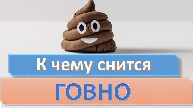 К чему снится говно (фекалии, какашки) | сонник К чему снится говно (фекалии, какашки) | сонник
