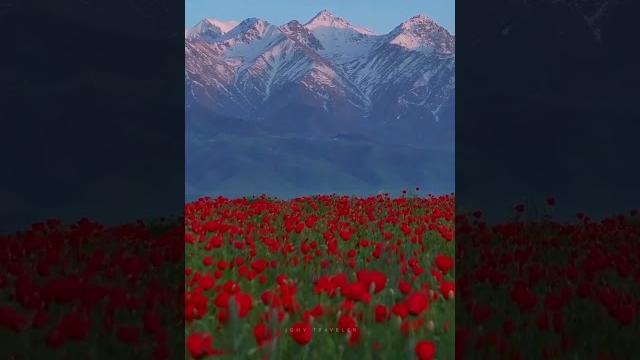 Majestic mountains of kyrgyzstan – a peaceful nature journey #kyrgyzstan #nomadnaturekg #саякат Majestic mountains of kyrgyzstan – a peaceful nature journey #kyrgyzstan #nomadnaturekg #саякат