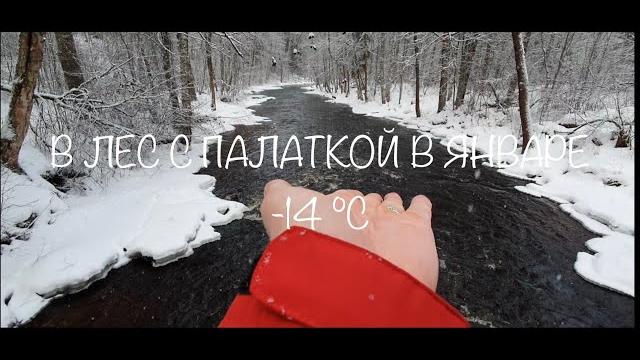 В лес с палаткой в январе В лес с палаткой в январе