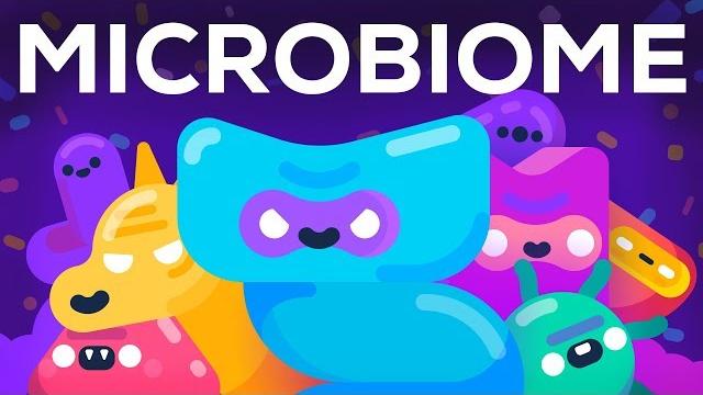 How bacteria rule over your body – the microbiome How bacteria rule over your body – the microbiome