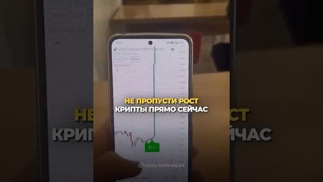 Не упусти! крипта взлетает — иксы на подходе Не упусти! крипта взлетает — иксы на подходе