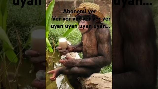 Uyan uyan uyan uyan.... Uyan uyan uyan uyan....