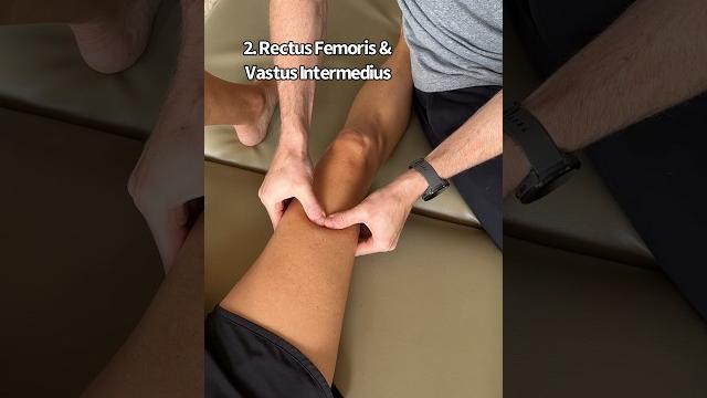Quadriceps muscle mobilization #physicaltherapy #massage Quadriceps muscle mobilization #physicaltherapy #massage
