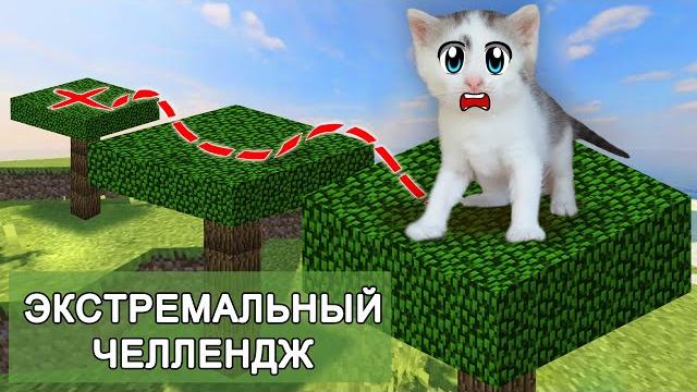 Экстремальный челлендж для котов! кто лучше из животных? подписчики выбирают победителя Экстремальный челлендж для котов! кто лучше из животных? подписчики выбирают победителя