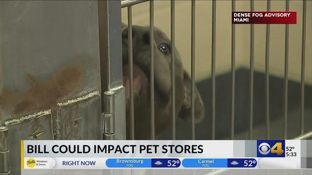 Bill could impact pet stores Bill could impact pet stores