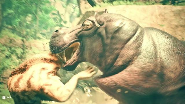 Hippopotamus kill the golden machairodus Hippopotamus kill the golden machairodus