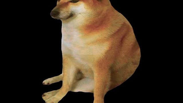 Bonk doge Bonk doge