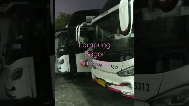 Damri lampung Damri lampung