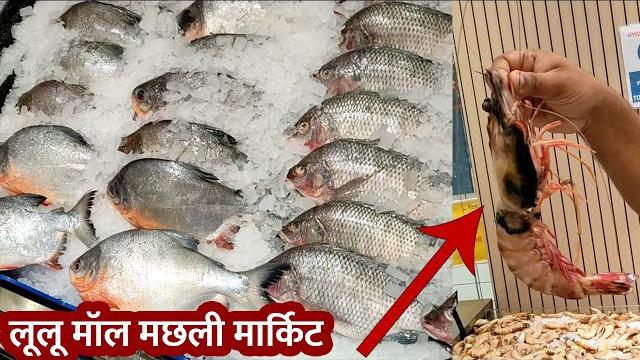 Fish market in lu lu mall lucknow | आधा किलो की झींगा मछली | hypermarket l ulu mall | saleem azad Fish market in lu lu mall lucknow | आधा किलो की झींगा मछली | hypermarket l ulu mall | saleem azad