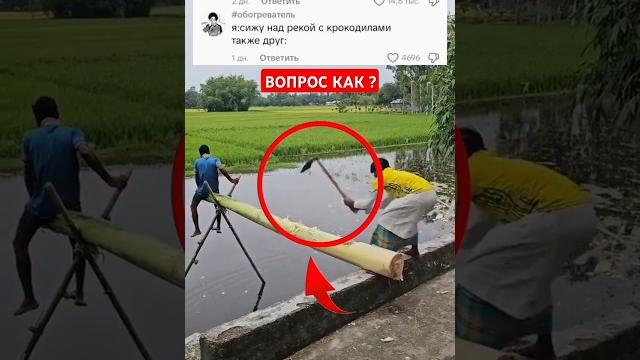 #мем #мем