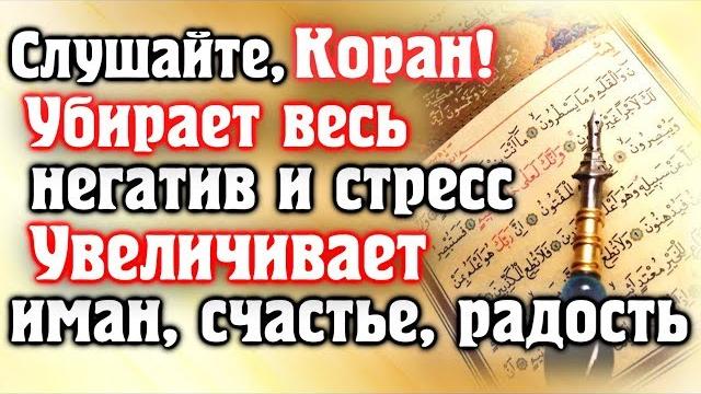 Слушайте коран - убирает весь негатив и стресс, увеличивает иман, счастье. красивое чтение корана Слушайте коран - убирает весь негатив и стресс, увеличивает иман, счастье. красивое чтение корана