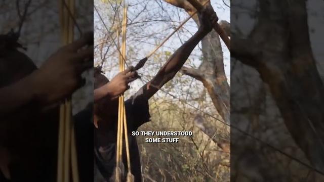 The ancient wisdom of hadza bows – joseph henrich The ancient wisdom of hadza bows – joseph henrich