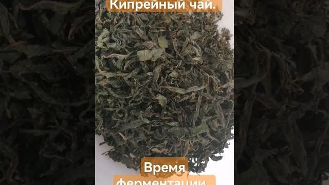 Ферментация иван чая. Ферментация иван чая.