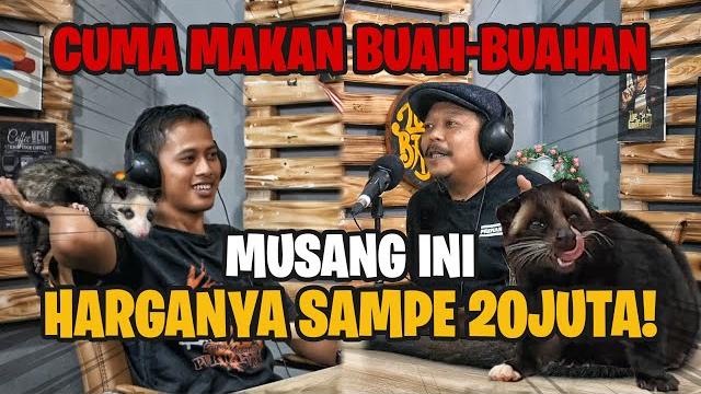 Warga purwakarta ini raup cuan jutaan rupiah per bulan dari ternak musang! | jadi begini podcast #79 Warga purwakarta ini raup cuan jutaan rupiah per bulan dari ternak musang! | jadi begini podcast #79