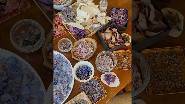 My collection of dried flowers My collection of dried flowers
