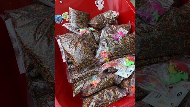 Kolam renang boba besar ratusan juta!! Kolam renang boba besar ratusan juta!!