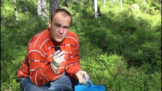 Как собирать чернику в 2,5 раза быстрее, чем руками. Как собирать чернику в 2,5 раза быстрее, чем руками.