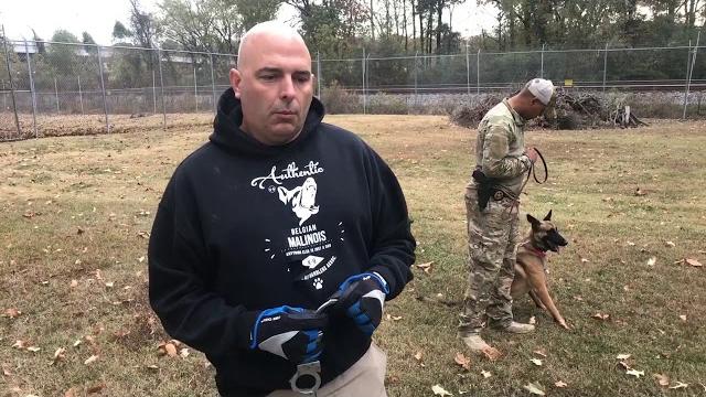 Police k9 release bite - handcuff technique Police k9 release bite - handcuff technique