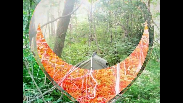 Остров русский. Остров русский.