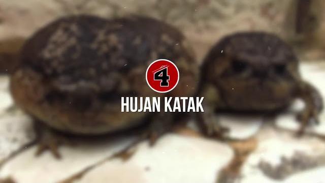 Daftar populer Daftar populer